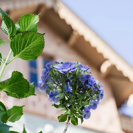 Ca Meison 4* Cannobio